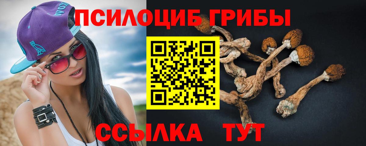 Галлюциногенные грибы GOLDEN TEACHER  Вход с VPN  Шарыпово 