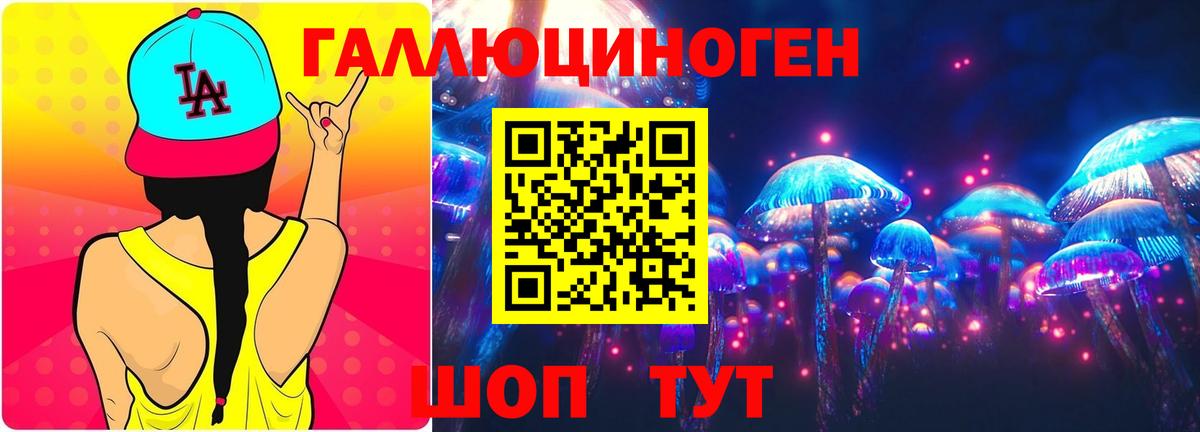 Псилоцибиновые грибы Psilocybine cubensis Шарыпово